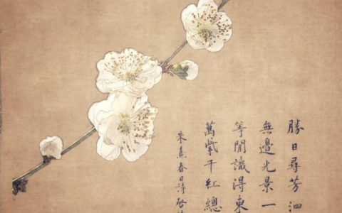 美易p图教程怎么弄,美易P图教程