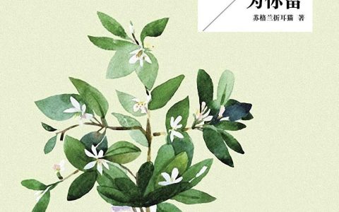 强推5本好看有肉肉的养成文