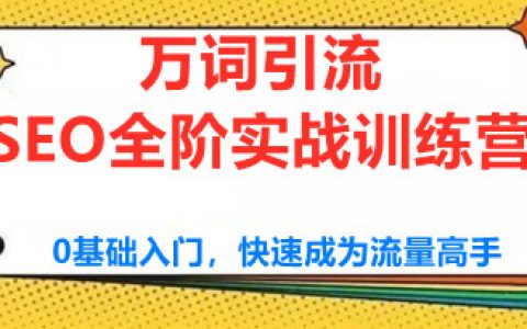 seo网站推广怎么做,SEO实战训练营,0基础入门万词引流
