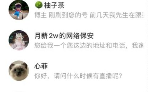 零成本创业项目,流浪狗暴力变现项目,0撸日入3000