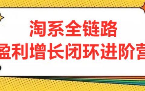 淘宝店怎么做才能做起来,淘系全链路盈利,7天玩转盈利增长核心