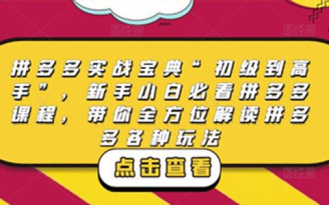 拼多多怎么开店运营,新手小白必看拼多多课程