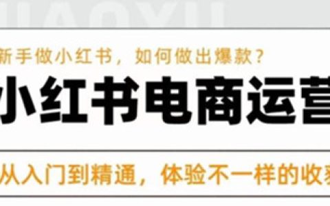 小白如何学电商运营，小红书电商运营课，​从入门到精通