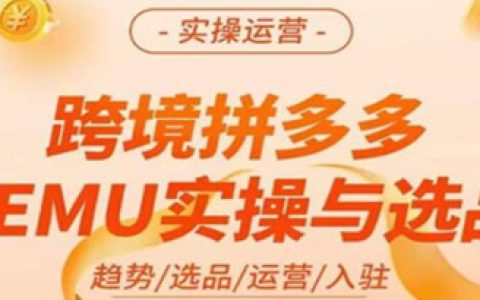 拼多多电商怎么做,跨境电商temu实操与选品，掌握运营技巧
