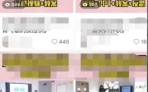 幼儿园公开课虚拟资源变现项目，一单19.9，单日变现300