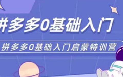 电商怎么做新手入门，拼多多运营0-1实操特训营，0基础入门