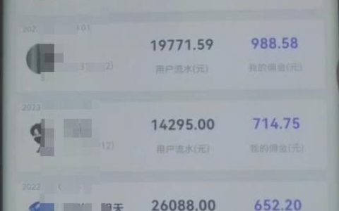 抖音快手壁纸号小程序变现项目教程,简单好操作