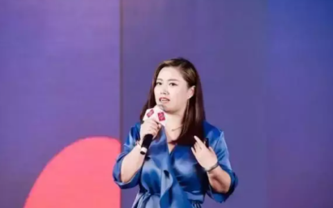 达人经济是什么意思