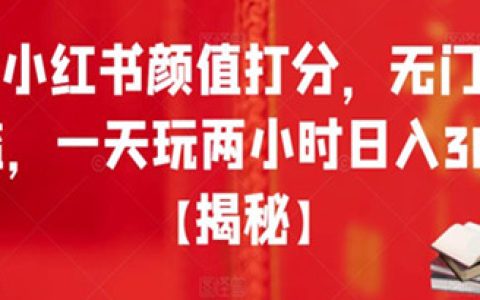 小红书怎么赚钱,小红书颜值打分，1天玩两小时日入300+