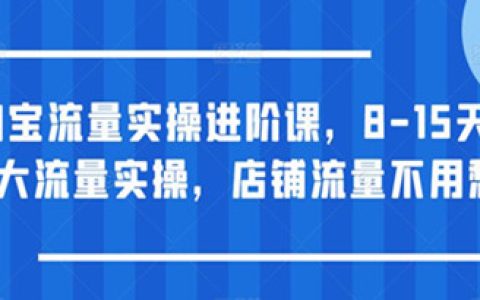 淘宝店铺怎么开，淘宝流量实操进阶课，8-15天放大流量实操