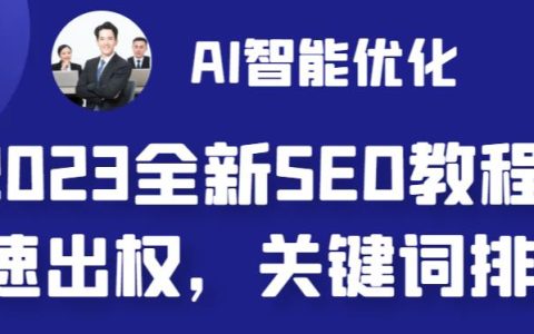 最新网站AI智能优化SEO教程，简单快速出权重