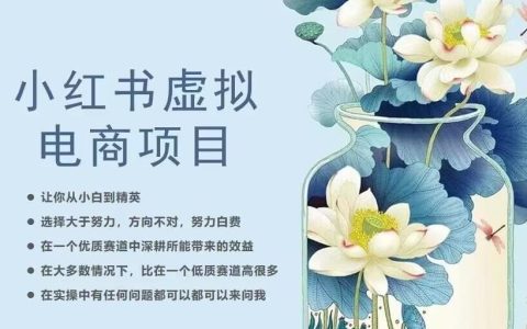 小红书怎么赚钱，小红书虚拟电商从0到1，让你从小白到精英