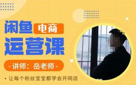 闲鱼电商怎么做，闲鱼电商运营课，让每个粉丝宝宝都学会开网店