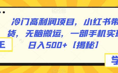 小红书带货无脑搬运，冷门高利润项目，一部手机日入500+