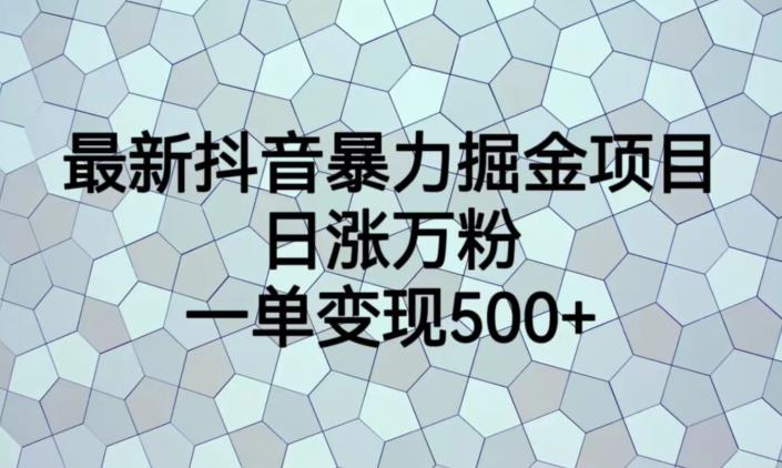 抖音暴力掘金项目