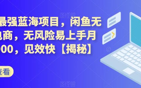 闲鱼怎么做无货源赚钱，闲鱼无货源电商，无风险易上手月赚1W