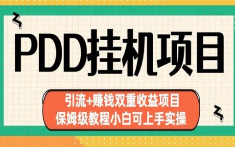 副业做什么好，拼多多挂机项目引流+赚钱双重收益项目实操教程