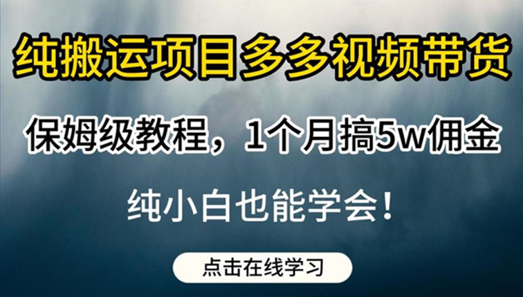 多多视频带货