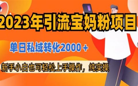 公务员适合干什么副业，引流宝妈粉项目，单日私域转化2000