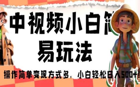 事业编可以做副业吗，中视频小白简易玩法，小白轻松日入500