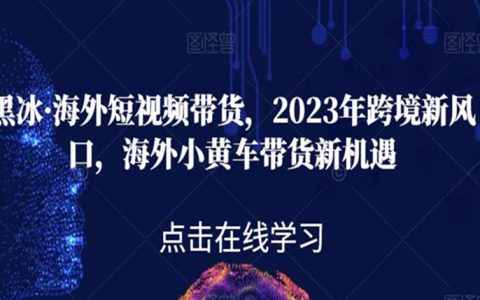 海外短视频带货，2023年跨境新风口，海外小黄车带货新机遇