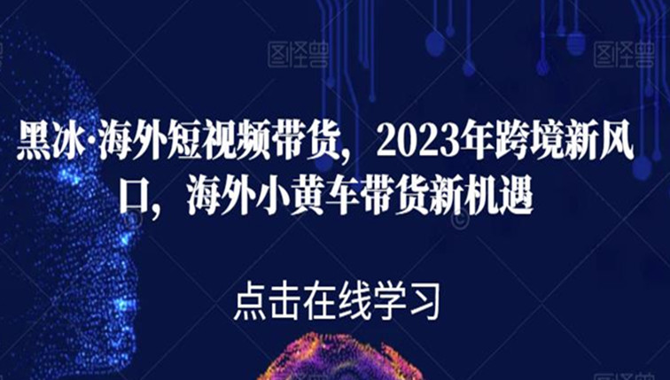 海外短视频带货