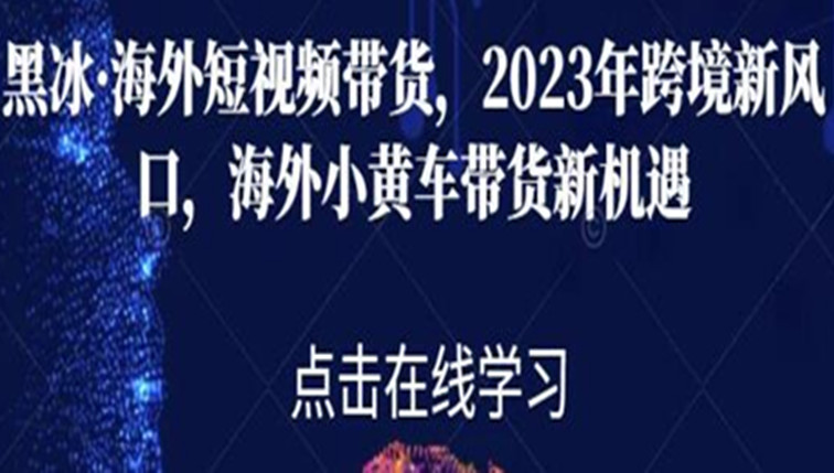 海外tiktok短视频带货