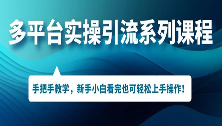 多平台引流实操系列课程