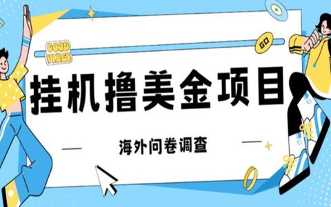 适合晚上兼职的副业，最新挂机撸美金礼品卡项目，单机200+