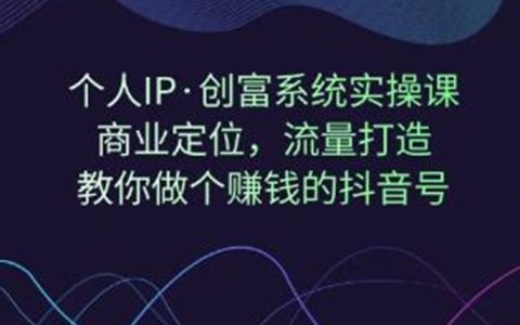 个人IP创富系统实操课商业定位流量打造，教你做个赚钱抖音号