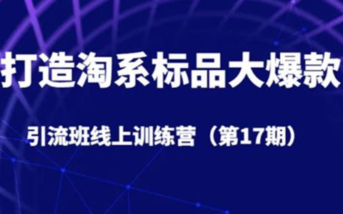 淘系运营，打造淘系标品大爆款引流班线上训练营（第17期）