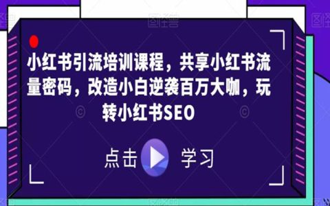 小红书引流培训课程，改造小白逆袭百万大咖，玩转小红书SEO