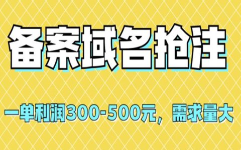 当老师可以有自己的副业吗，备案域名抢注，一单利润500元