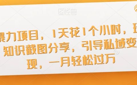 2023副业赚钱的路子有哪些，玩知识截图分享，一月轻松过万