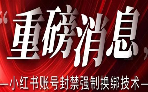 公务员可以做的副业，小红书账号封禁强制换绑技术可日赚300
