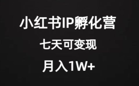 小红书IP孵化营项目，七天即可开始变现，稳定月入1W+