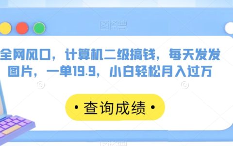 计算机二级搞钱，每天发发图片，小白轻松月入过万