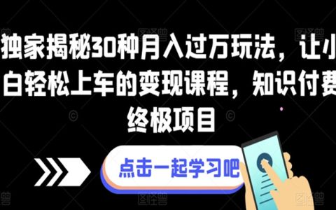 30种月入过万玩法，让小白轻松上车变现课程，知识付费终极项目