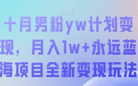 十月男粉yw计划变现，永远蓝海项目全新变现玩法，月入1w+