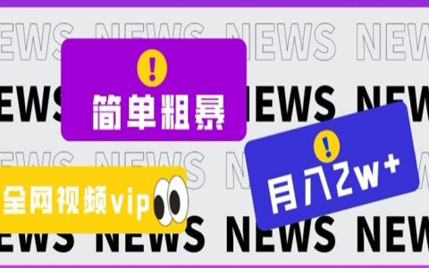 事业编可以搞副业么，全网视频VIP掘金项目，月入2万＋