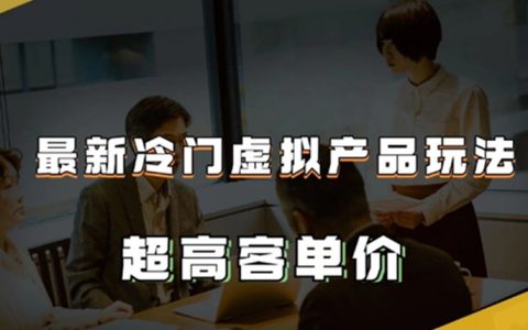 最新冷门虚拟产品玩法，超高客单价，月入2-3万＋
