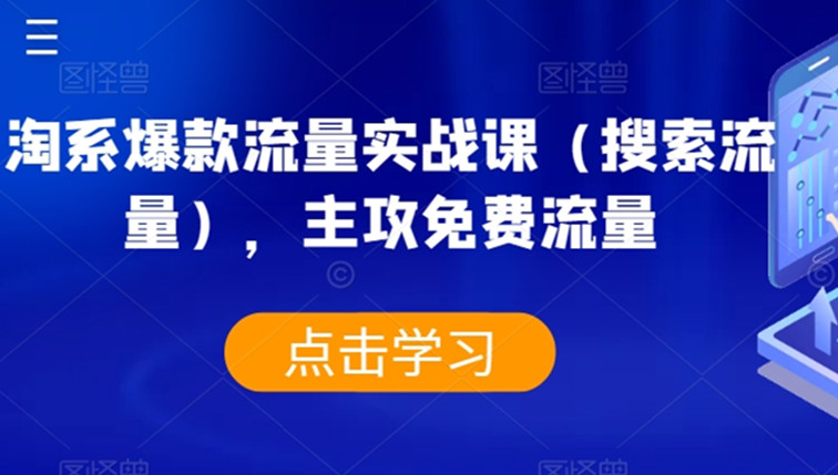 淘系爆款流量实战课