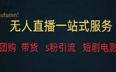 《无人直播全套教程》变现稳定