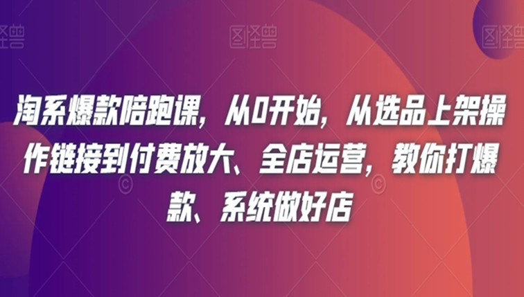 淘系爆款陪跑课