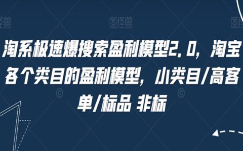 淘系极速爆搜索盈利模型2.0，淘宝各个类目的盈利模型