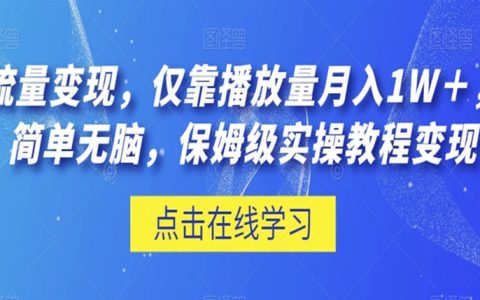 月入一万的副业有哪些,流量变现级实操教程,靠播放量月入1W