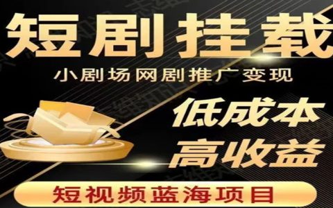 短视频蓝海项目，抖音快手短剧推广变现教程，低成本高收益