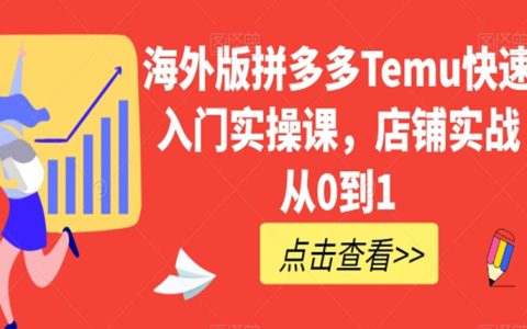 海外版拼多多Temu快速入门实操课，店铺实战从0到1