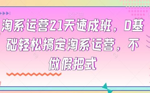 淘系运营21天速成班，0基础轻松搞定淘系运营，不做假把式