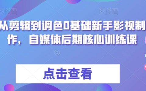 从剪辑到调色0基础新手影视制作，自媒体后期核心训练课